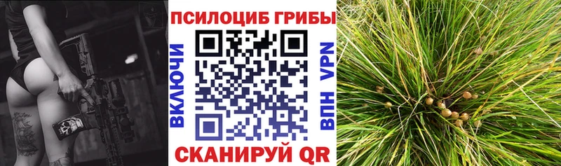 Купить закладки  Усть-Катав  Псилоцибиновые грибы ЛСД 